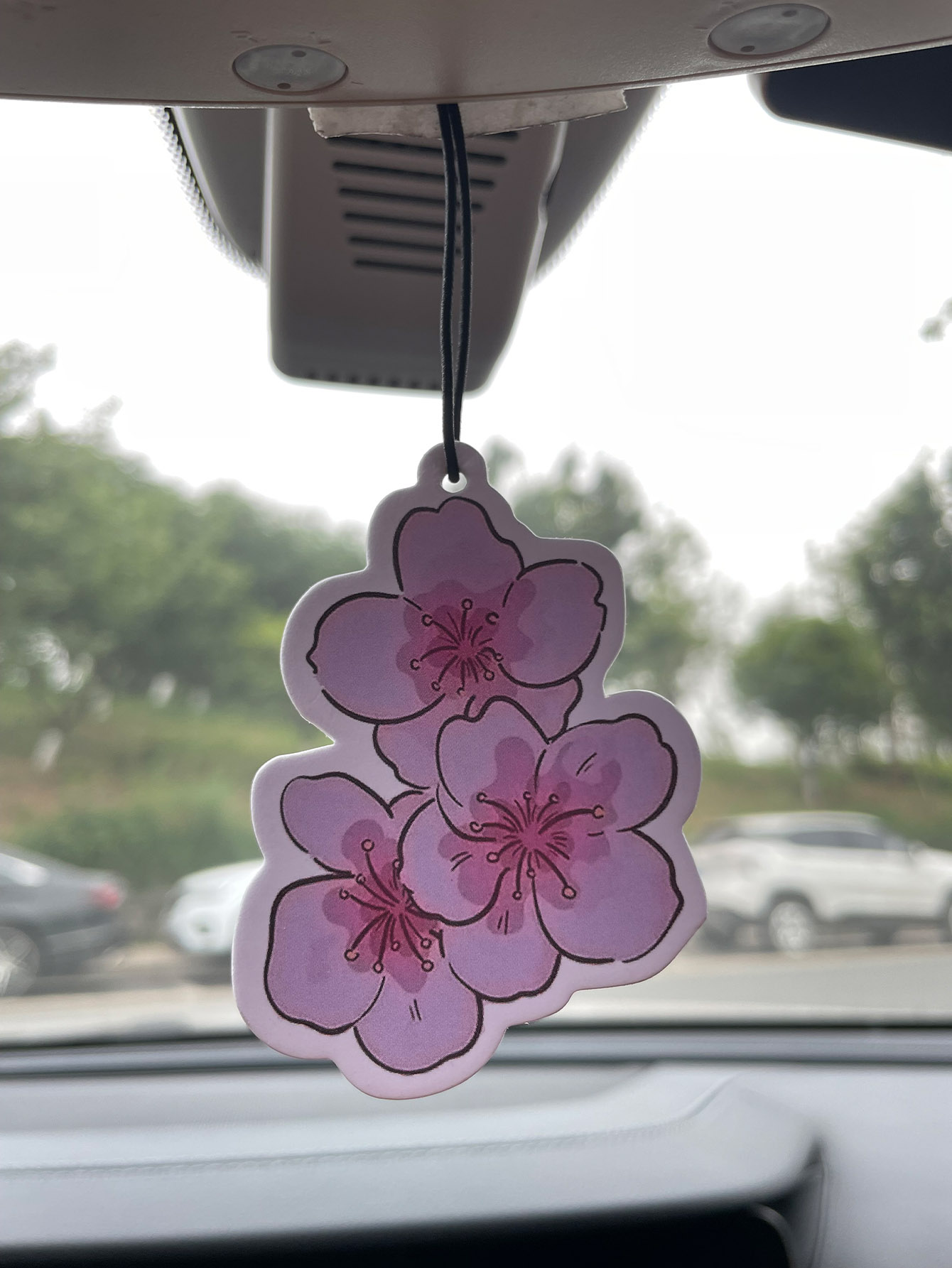 Home Bathroom Vent - Sakura/Freesia Fresh Scent Five-Star Neutral Car