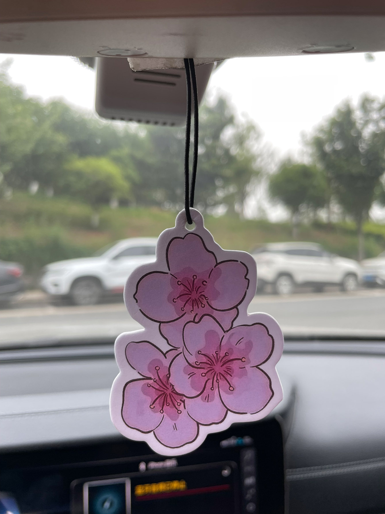 Sakura/Freesia Fresh Scent Fiv - Home Bathroom Vent 评论和价格