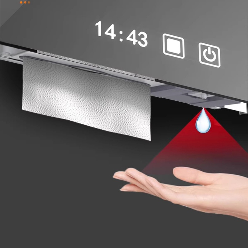 Stainless Steel Hidden Paper T - Home Bathroom Wall Soap Dispenser 评论和价格